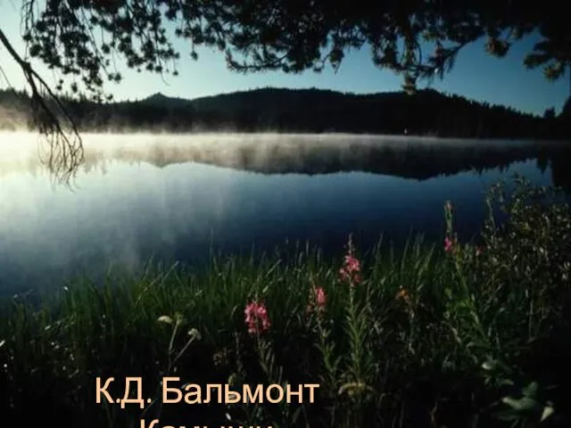 К.Д. Бальмонт «Камыши»