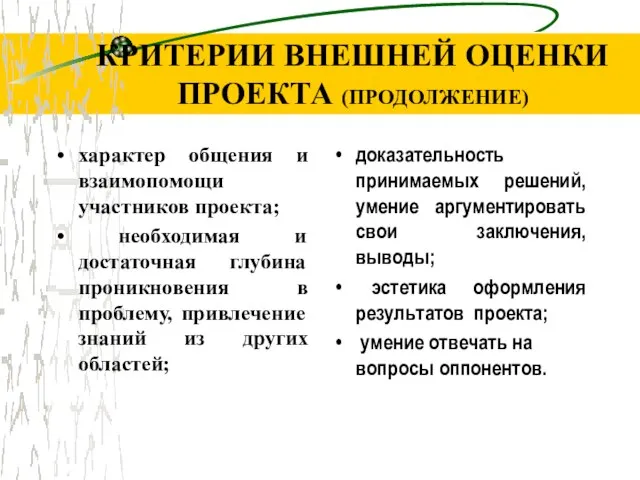 КРИТЕРИИ ВНЕШНЕЙ ОЦЕНКИ ПРОЕКТА (ПРОДОЛЖЕНИЕ) характер общения и взаимопомощи участников проекта;