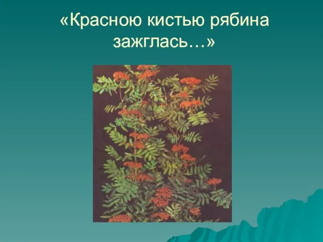 «Красною кистью рябина зажглась…»