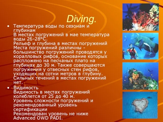 Diving. Температура воды по сезонам и глубинам В местах погружений в