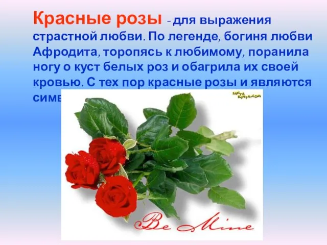 Красные розы - для выражения страстной любви. По легенде, богиня любви