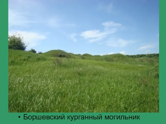 Боршевский курганный могильник