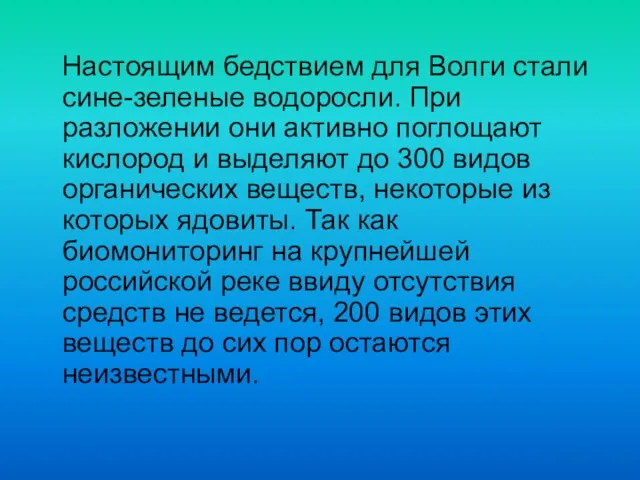 Настоящим бедствием для Волги стали сине-зеленые водоросли. При разложении они активно