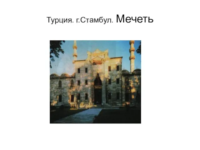 Турция. г.Стамбул. Мечеть