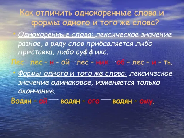 Как отличить однокоренные слова и формы одного и того же слова?