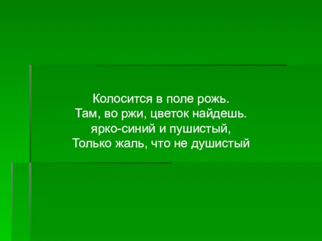 Колосится в поле рожь. Там, во ржи, цветок найдешь. ярко-синий и