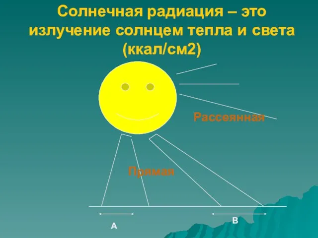 Солнечная радиация – это излучение солнцем тепла и света (ккал/см2) В А Прямая Рассеянная