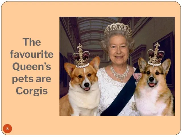 The favourite Queen’s pets are Corgis