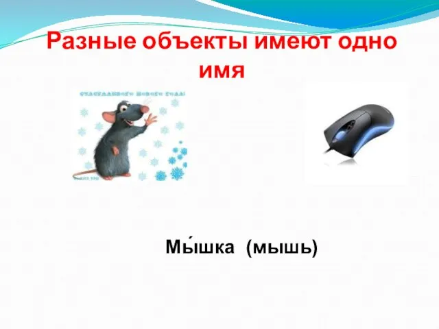 Разные объекты имеют одно имя Мы́шка (мышь)