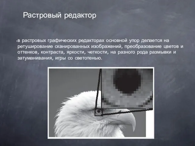 в растровых графических редакторах основной упор делается на ретуширование сканированных изображений,