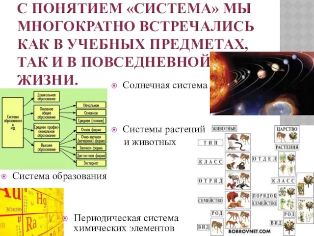 С понятием «Система» МЫ МНОГОКРАТНО ВСТРЕЧАЛИСЬ КАК В УЧЕБНЫХ ПРЕДМЕТАХ, ТАК