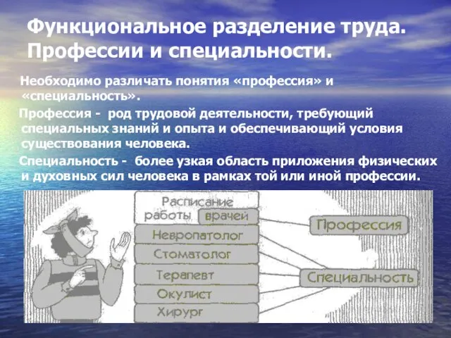 Функциональное разделение труда. Профессии и специальности. Необходимо различать понятия «профессия» и