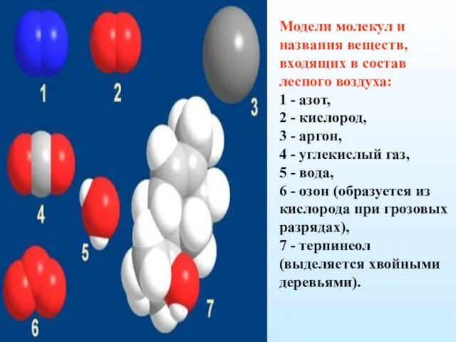 Модели молекул и названия веществ, входящих в состав лесного воздуха: 1