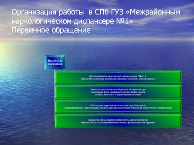 Организация работы в СПб ГУЗ «Межрайонным наркологическом диспансере №1» Первичное обращение