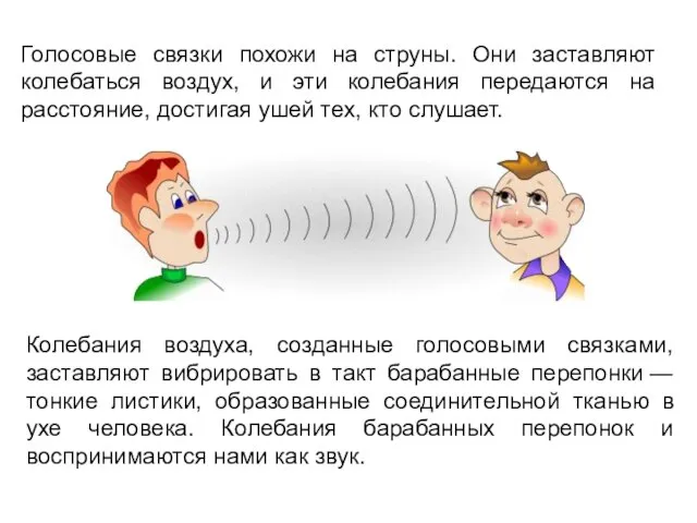 Голосовые связки похожи на струны. Они заставляют колебаться воздух, и эти