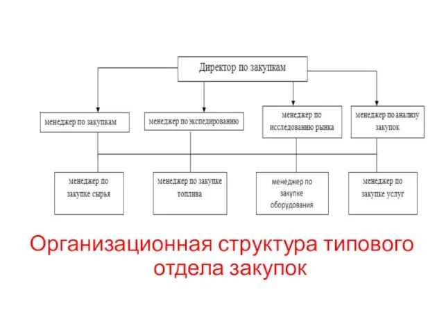 Организационная структура типового отдела закупок