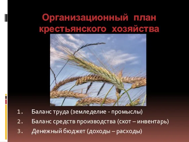 Организационный план крестьянского хозяйства Баланс труда (земледелие - промыслы) Баланс средств