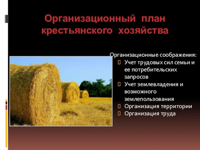 Организационный план крестьянского хозяйства Организационные соображения: Учет трудовых сил семьи и