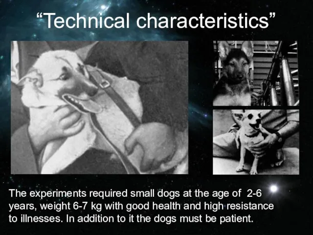 The experiments required small dogs at the age of 2-6 years,
