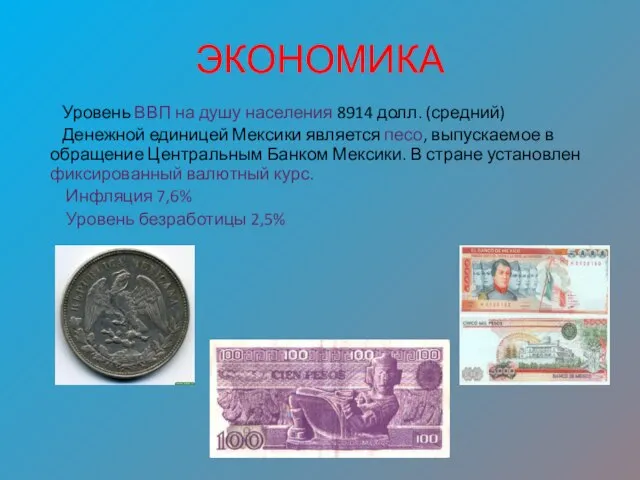 ЭКОНОМИКА Уровень ВВП на душу населения 8914 долл. (средний) Денежной единицей