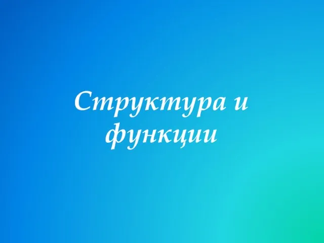 Структура и функции