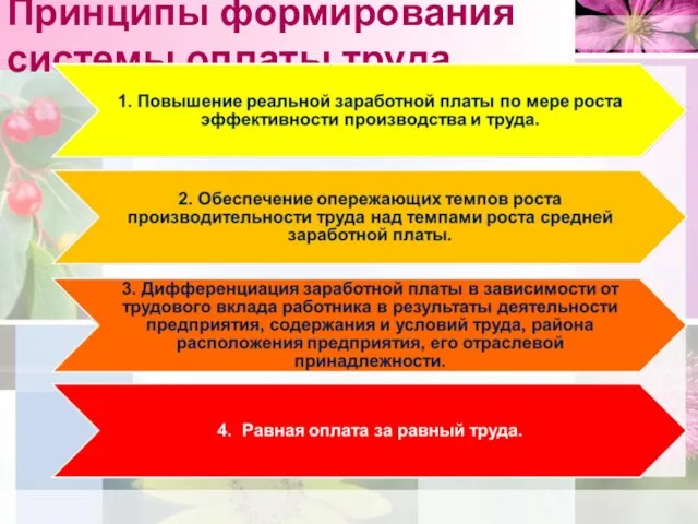 Принципы формирования системы оплаты труда