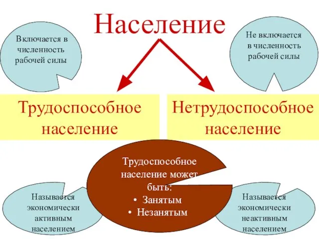 Население Трудоспособное население Нетрудоспособное население Не включается в численность рабочей силы