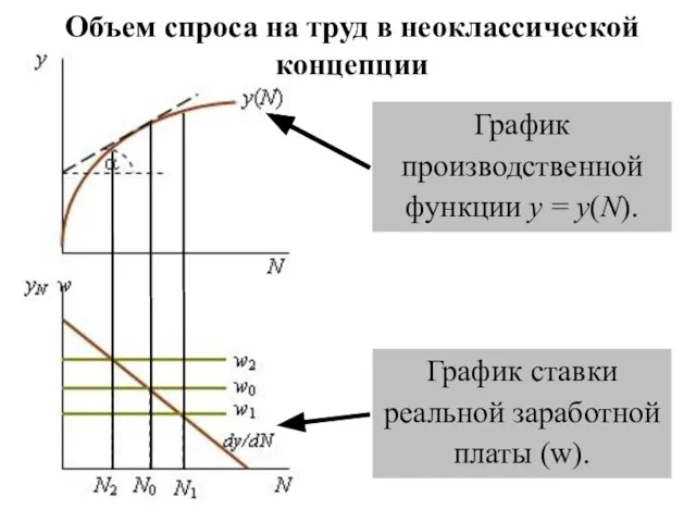 Объем спроса на труд в неоклассической концепции График производственной функции y