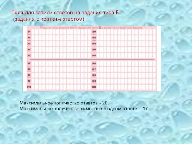 Поля для записи ответов на задания типа В (задания с кратким