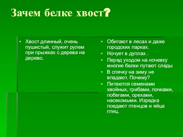 Зачем белке хвост? Хвост длинный, очень пушистый, служит рулем при прыжках