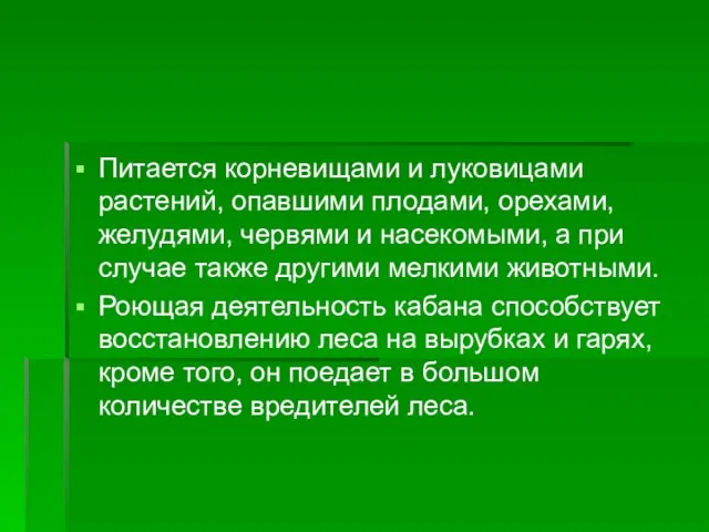 Питается корневищами и луковицами растений, опавшими плодами, орехами, желудями, червями и