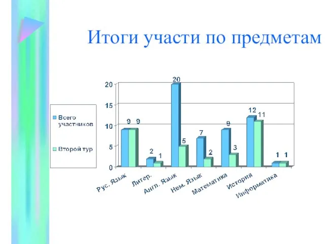 Итоги участи по предметам