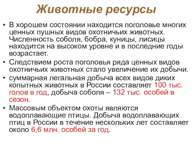 В хорошем состоянии находится поголовье многих ценных пушных видов охотничьих животных.