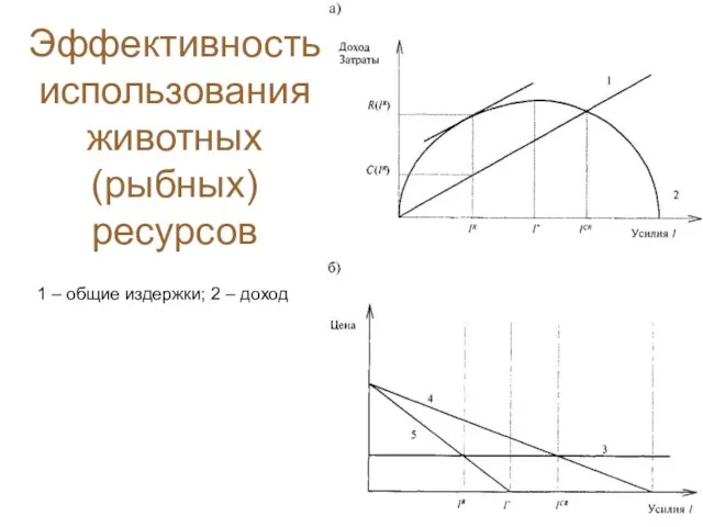 Эффективность использования животных (рыбных) ресурсов 1 – общие издержки; 2 – доход