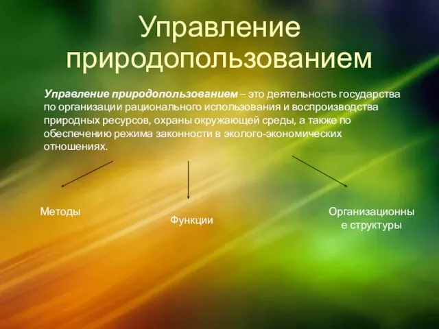 Управление природопользованием Управление природопользованием – это деятельность государства по организации рационального