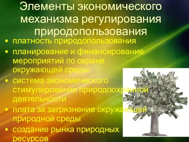 Элементы экономического механизма регулирования природопользования платность природопользования планирование и финансирование мероприятий