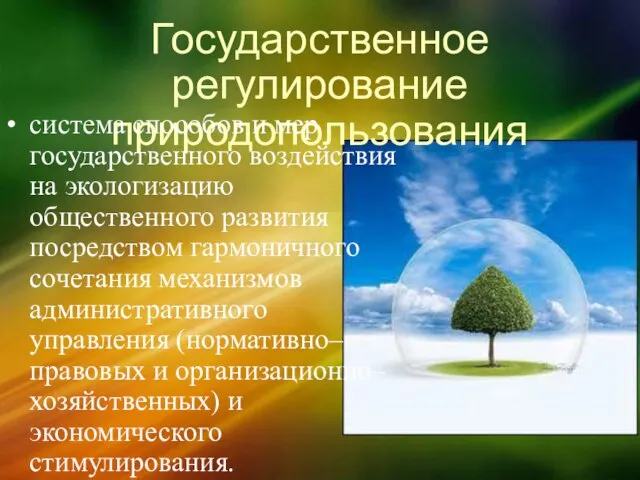 Государственное регулирование природопользования система способов и мер государственного воздействия на экологизацию