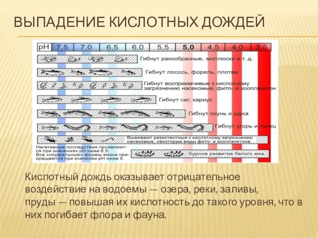 выпадение кислотных дождей Кислотный дождь оказывает отрицательное воздействие на водоемы —