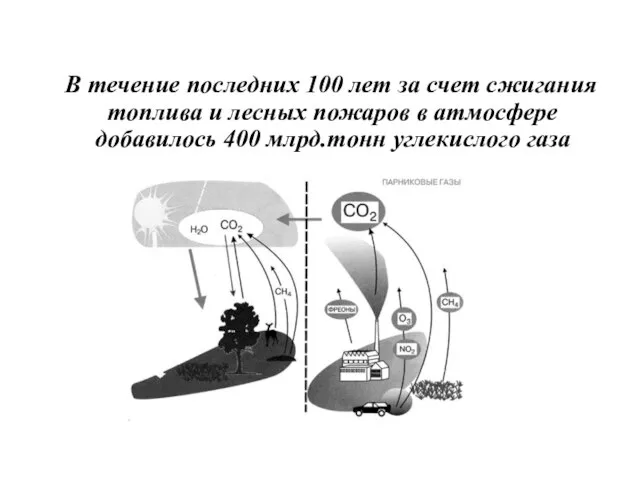 В течение последних 100 лет за счет сжигания топлива и лесных