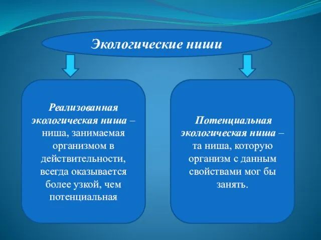 Реализованная экологическая ниша – ниша, занимаемая организмом в действительности, всегда оказывается