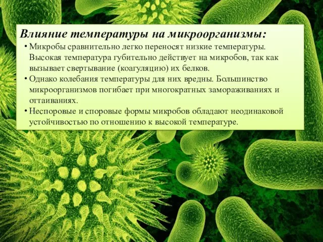 Влияние температуры на микроорганизмы: Микробы сравнительно легко переносят низкие температуры. Высокая