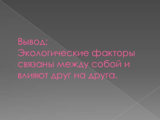 Вывод: Экологические факторы связаны между собой и влияют друг на друга.