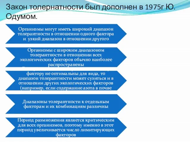 Закон толернатности был дополнен в 1975г Ю.Одумом.