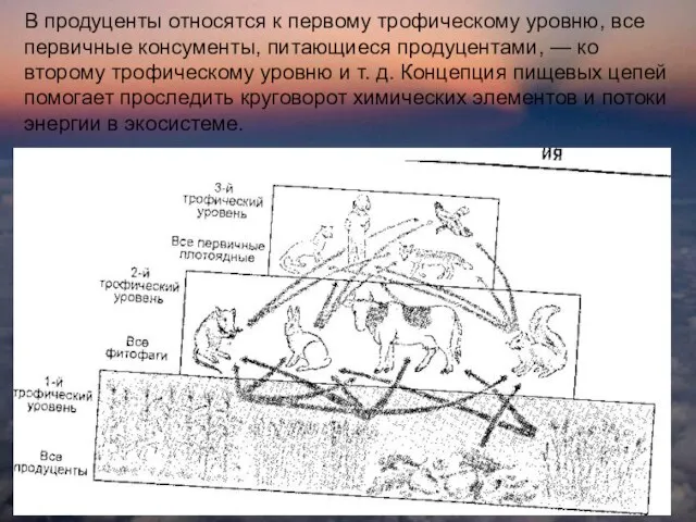 В продуценты относятся к первому трофическому уровню, все первичные консументы, питающиеся