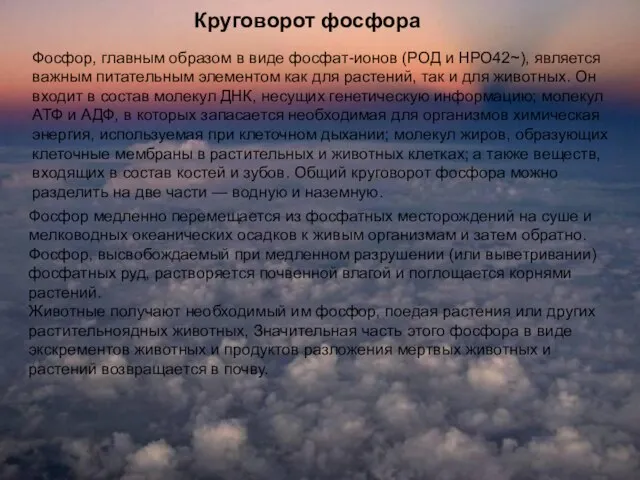 Круговорот фосфора Фосфор, главным образом в виде фосфат-ионов (РОД и НРО42~),