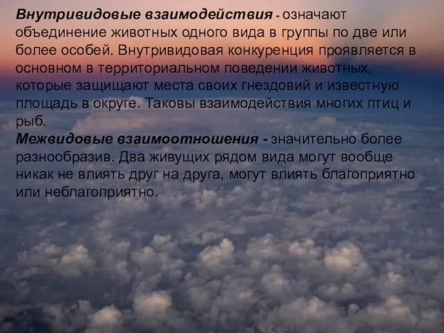 Внутривидовые взаимодействия - означают объединение животных одного вида в группы по