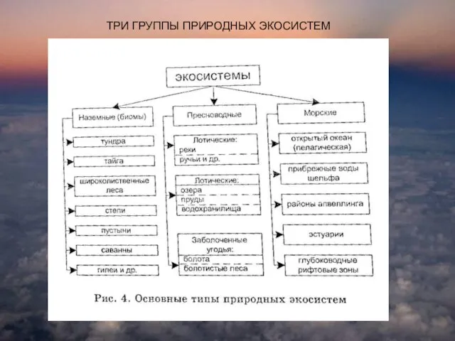 ТРИ ГРУППЫ ПРИРОДНЫХ ЭКОСИСТЕМ