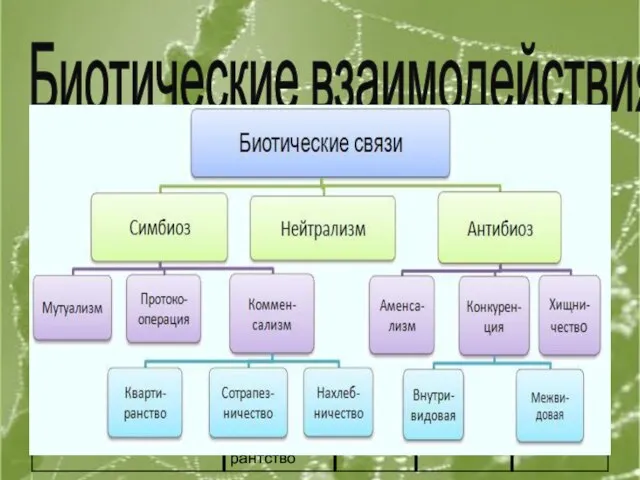 Биотические взаимодействия