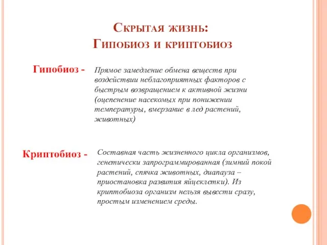 Скрытая жизнь: Гипобиоз и криптобиоз Гипобиоз - Прямое замедление обмена веществ