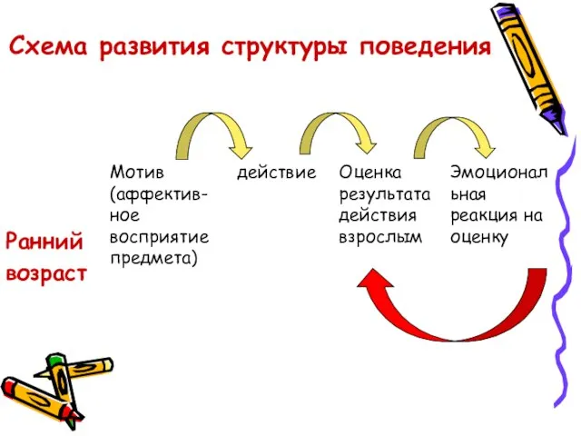 Схема развития структуры поведения